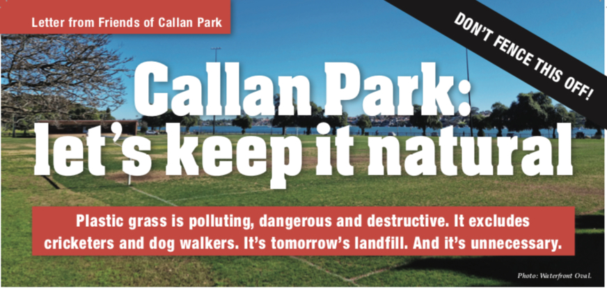 Let's keep it natural – and don't fence it off - Friends of Callan Park