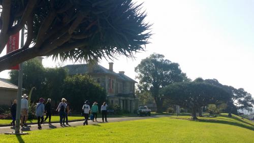 Callan Park's dragon trees