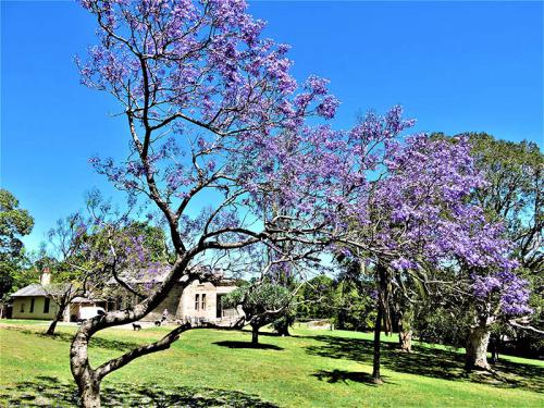 Chaplain's Cottage BonnyView