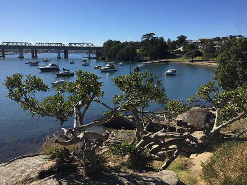 Iron Cove 