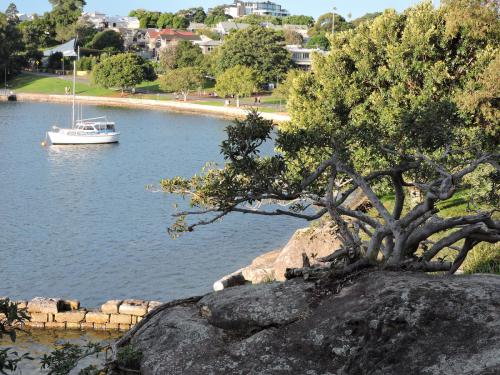 Iron Cove in front of King George's Park