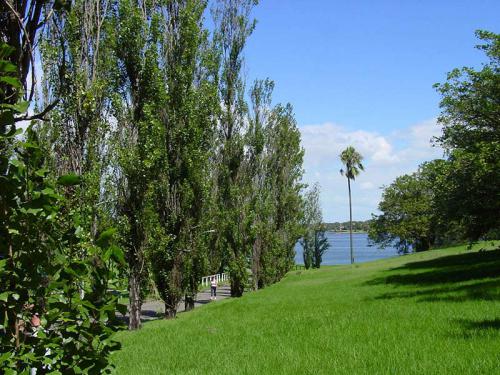 View Along The Row of Poplars